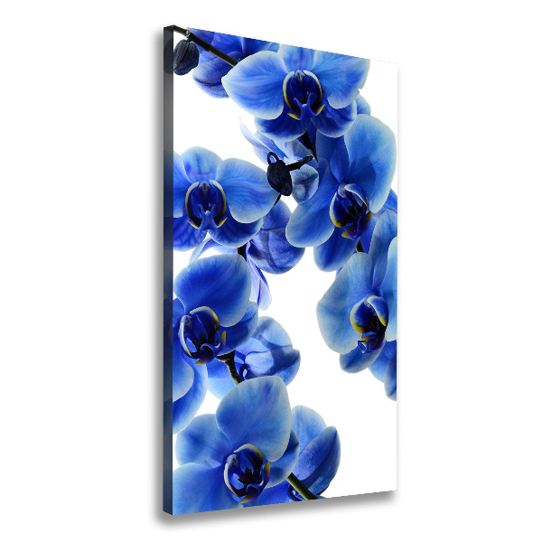 Canvas wall art Blue orchid