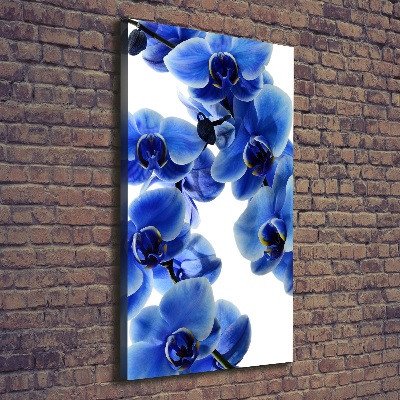 Canvas wall art Blue orchid