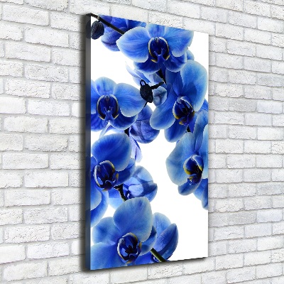 Canvas wall art Blue orchid