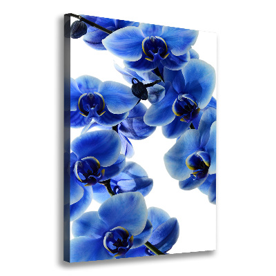 Canvas wall art Blue orchid