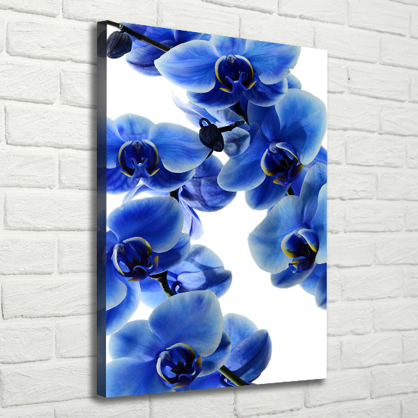 Canvas wall art Blue orchid