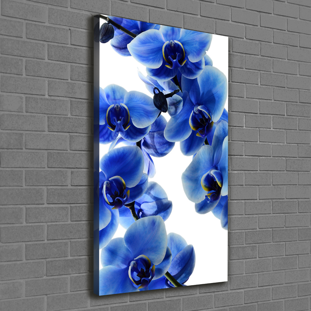 Canvas wall art Blue orchid