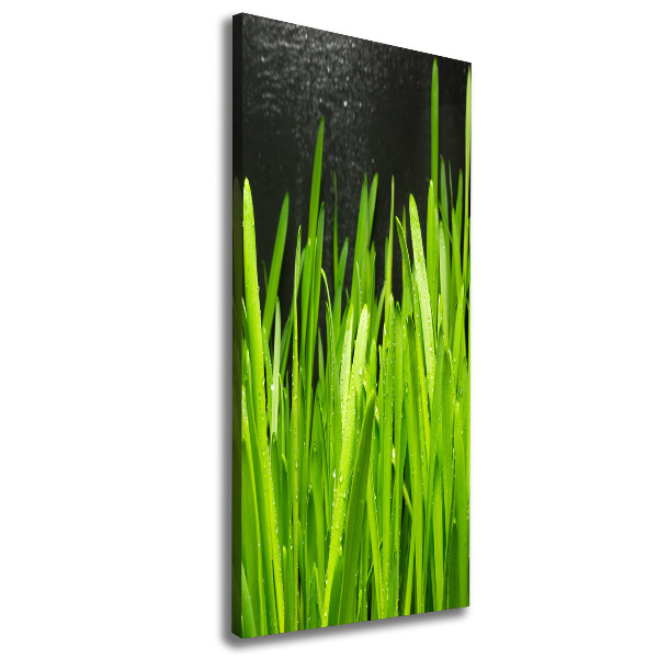 Canvas wall art Blade of grass