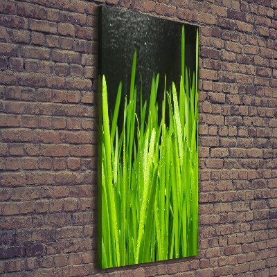 Canvas wall art Blade of grass