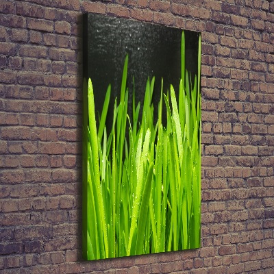 Canvas wall art Blade of grass