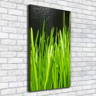 Canvas wall art Blade of grass