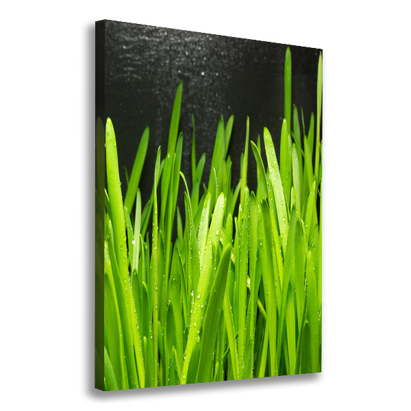 Canvas wall art Blade of grass