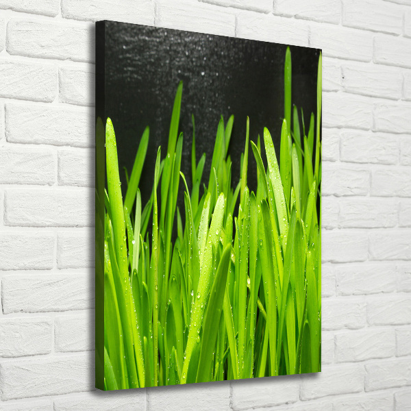 Canvas wall art Blade of grass