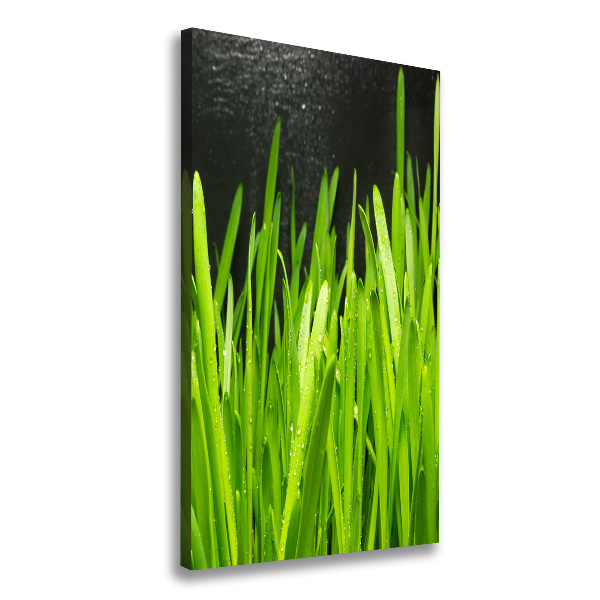 Canvas wall art Blade of grass