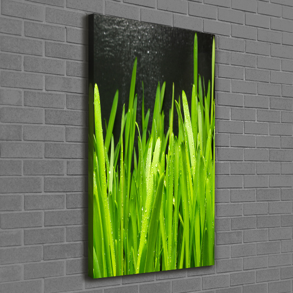 Canvas wall art Blade of grass