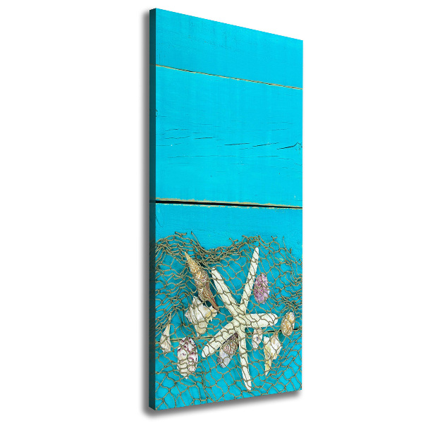 Canvas wall art Shells and starfish