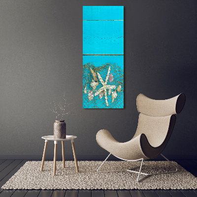 Canvas wall art Shells and starfish