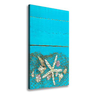 Canvas wall art Shells and starfish