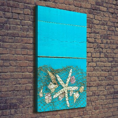 Canvas wall art Shells and starfish