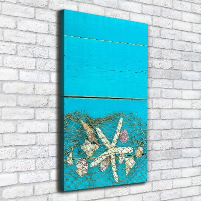 Canvas wall art Shells and starfish