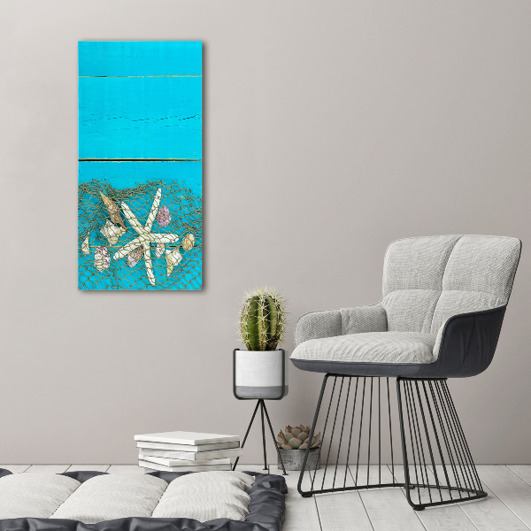 Canvas wall art Shells and starfish