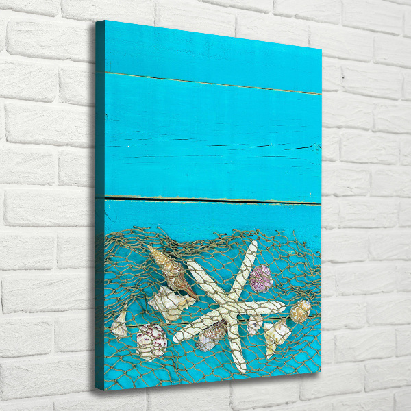 Canvas wall art Shells and starfish