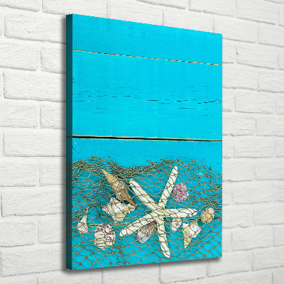 Canvas wall art Shells and starfish