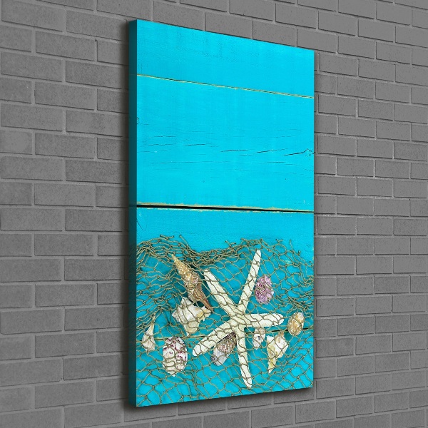 Canvas wall art Shells and starfish