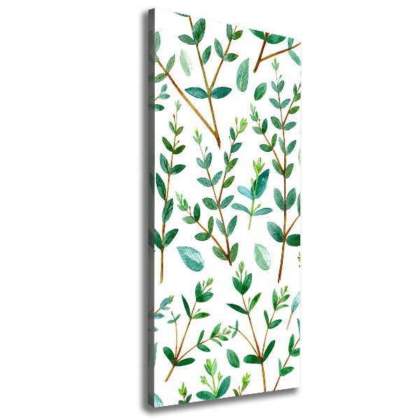 Wall art canvas large Eucalyptus branches