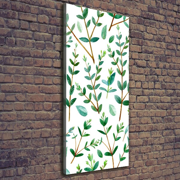 Wall art canvas large Eucalyptus branches