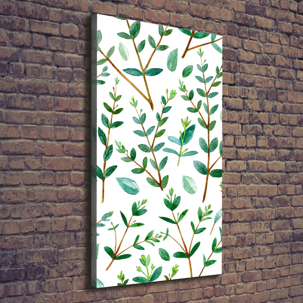 Wall art canvas large Eucalyptus branches