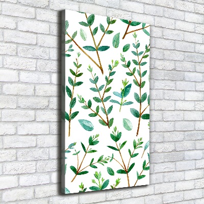 Wall art canvas large Eucalyptus branches