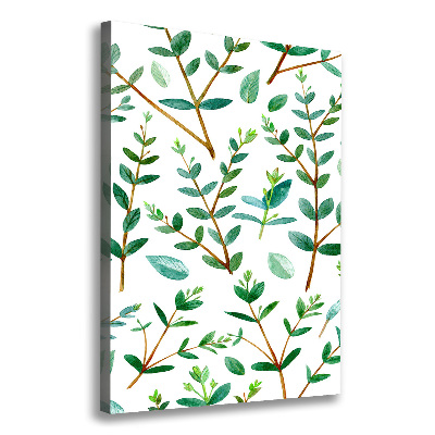 Wall art canvas large Eucalyptus branches