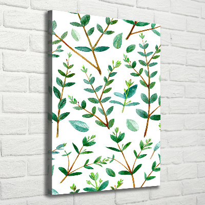 Wall art canvas large Eucalyptus branches