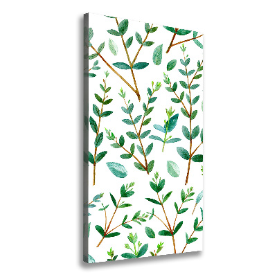 Wall art canvas large Eucalyptus branches