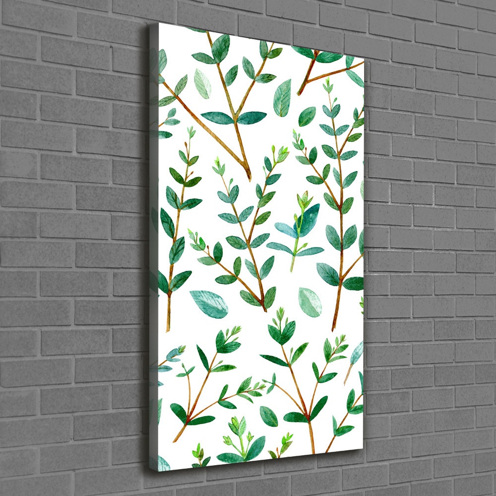 Wall art canvas large Eucalyptus branches