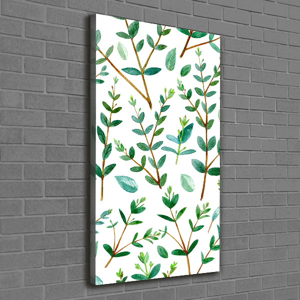 Wall art canvas large Eucalyptus branches