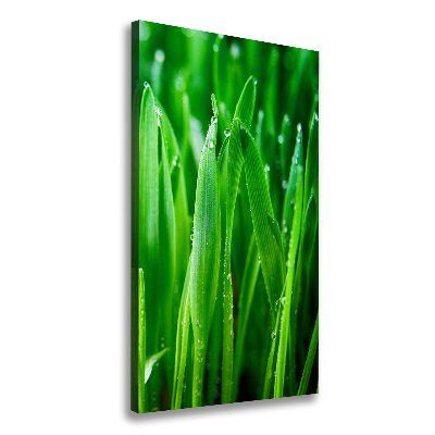 Canvas wall art Blade of grass