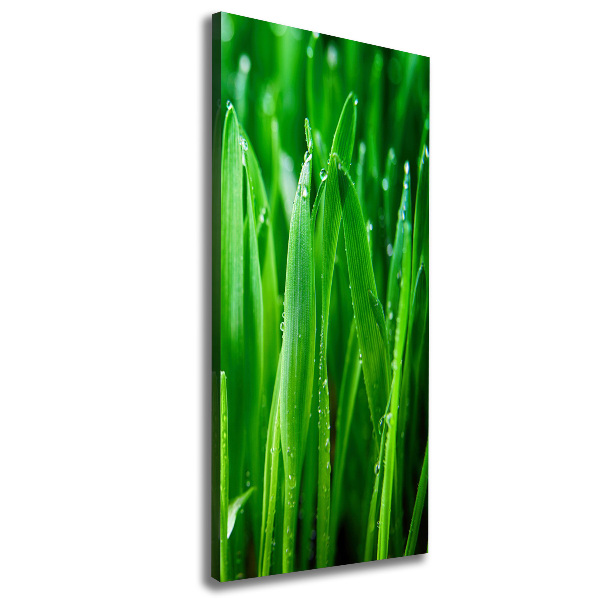 Canvas wall art Blade of grass