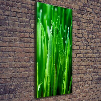 Canvas wall art Blade of grass