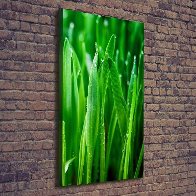 Canvas wall art Blade of grass