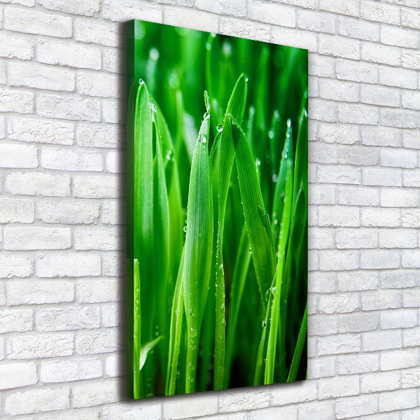 Canvas wall art Blade of grass