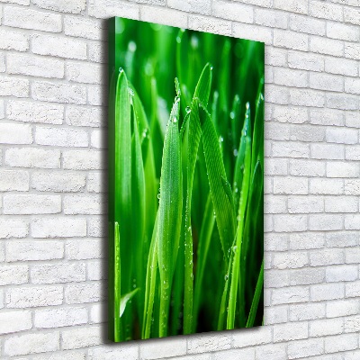 Canvas wall art Blade of grass