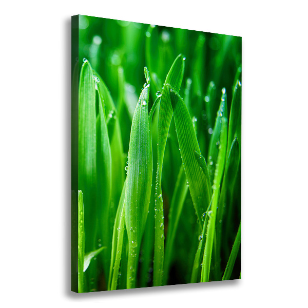 Canvas wall art Blade of grass