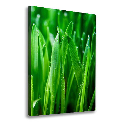 Canvas wall art Blade of grass