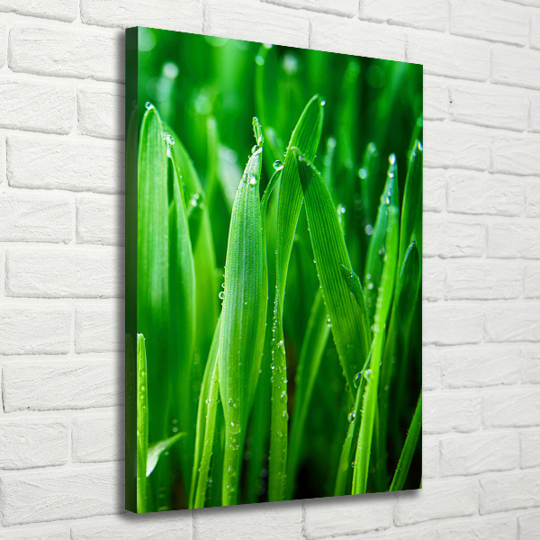 Canvas wall art Blade of grass