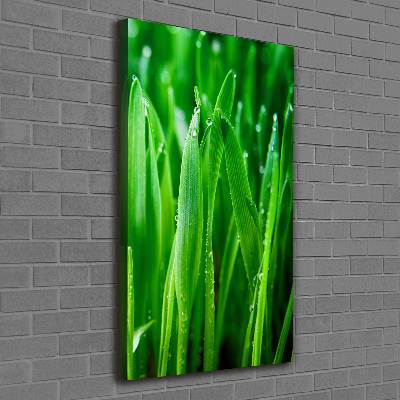 Canvas wall art Blade of grass