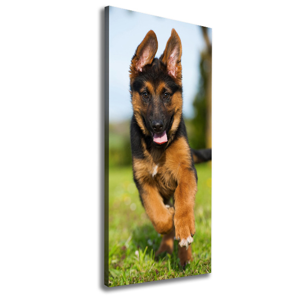 Canvas wall art German Shepherd