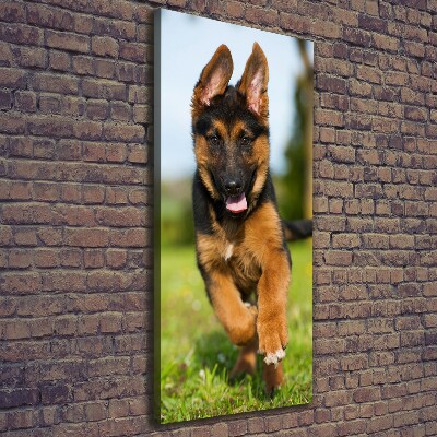 Canvas wall art German Shepherd