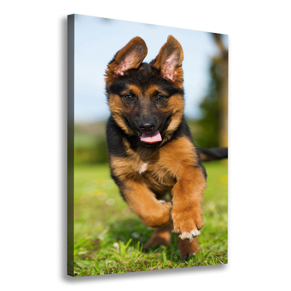 Canvas wall art German Shepherd