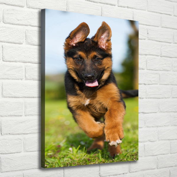 Canvas wall art German Shepherd