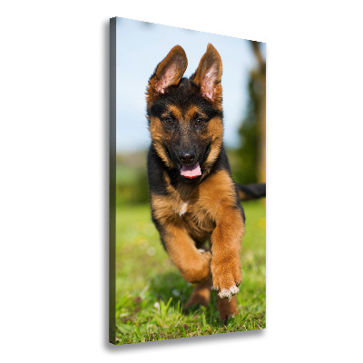 Canvas wall art German Shepherd