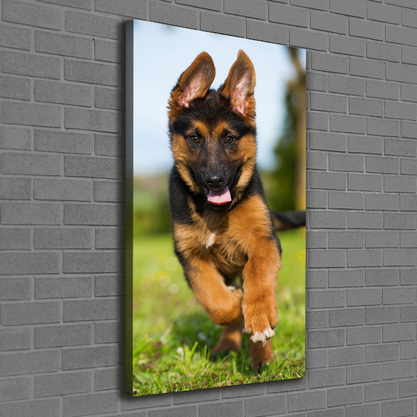 Canvas wall art German Shepherd