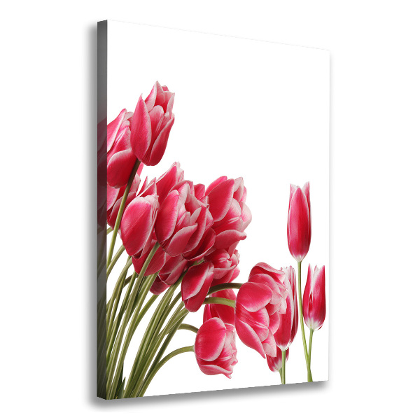 Canvas wall art Red tulips