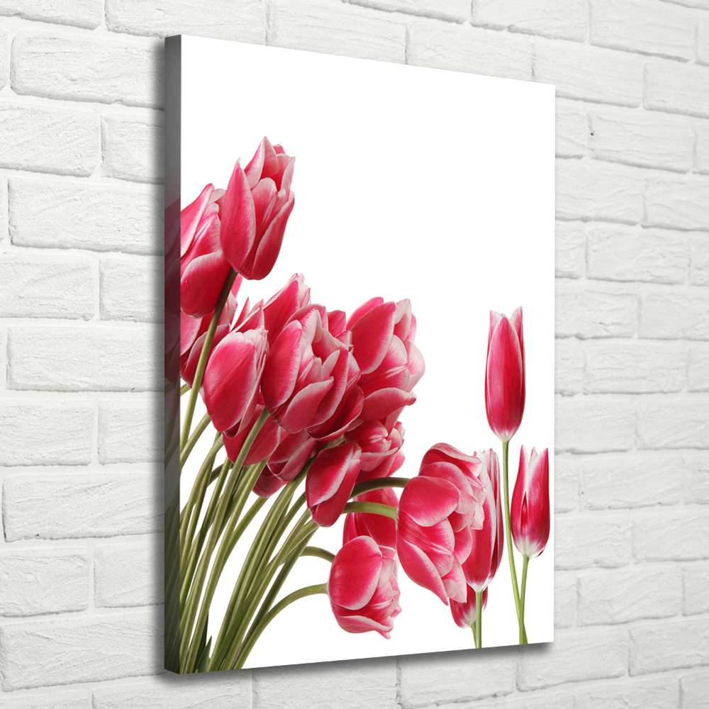 Canvas wall art Red tulips